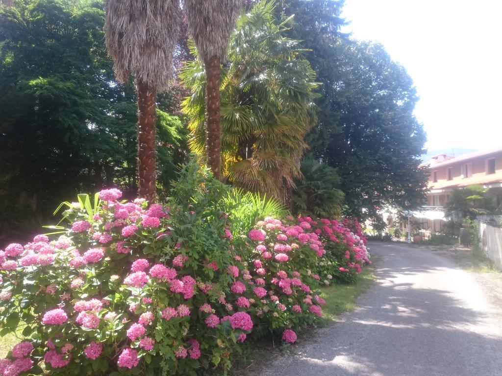 Hotel Le Mas Fleuri Vernet-les-Bains Buitenkant foto