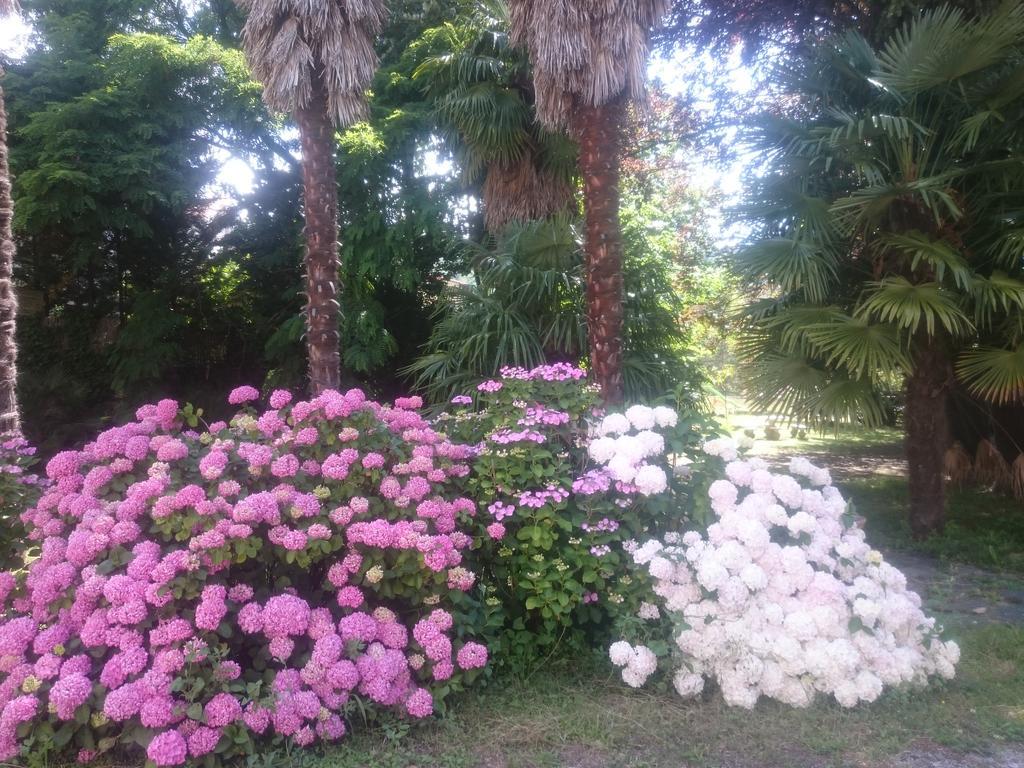 Hotel Le Mas Fleuri Vernet-les-Bains Buitenkant foto