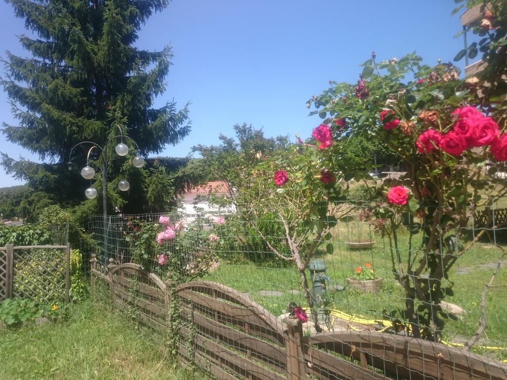 Hotel Le Mas Fleuri Vernet-les-Bains Buitenkant foto